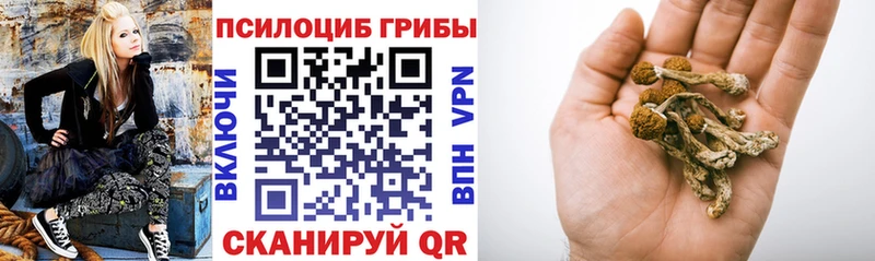 Галлюциногенные грибы мицелий  Микунь 